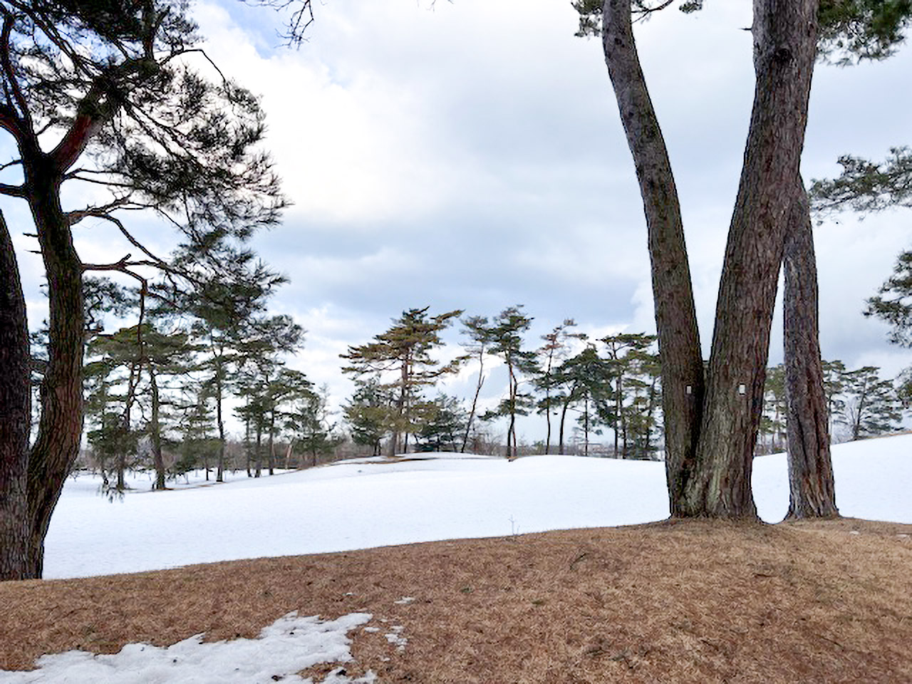 2月12日現在の積雪状況飯豊No.6