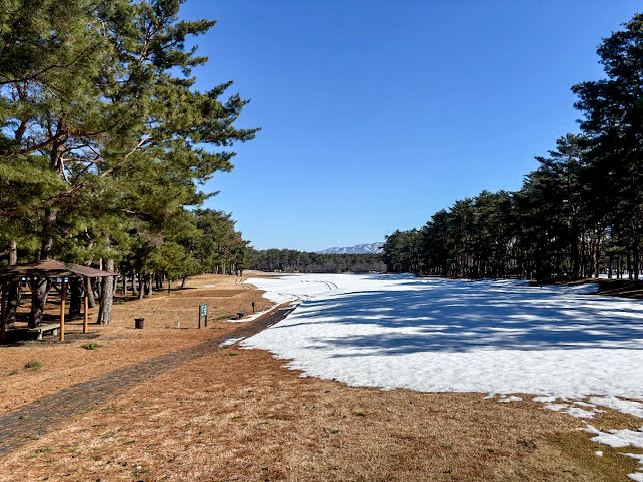2月17日積雪状況